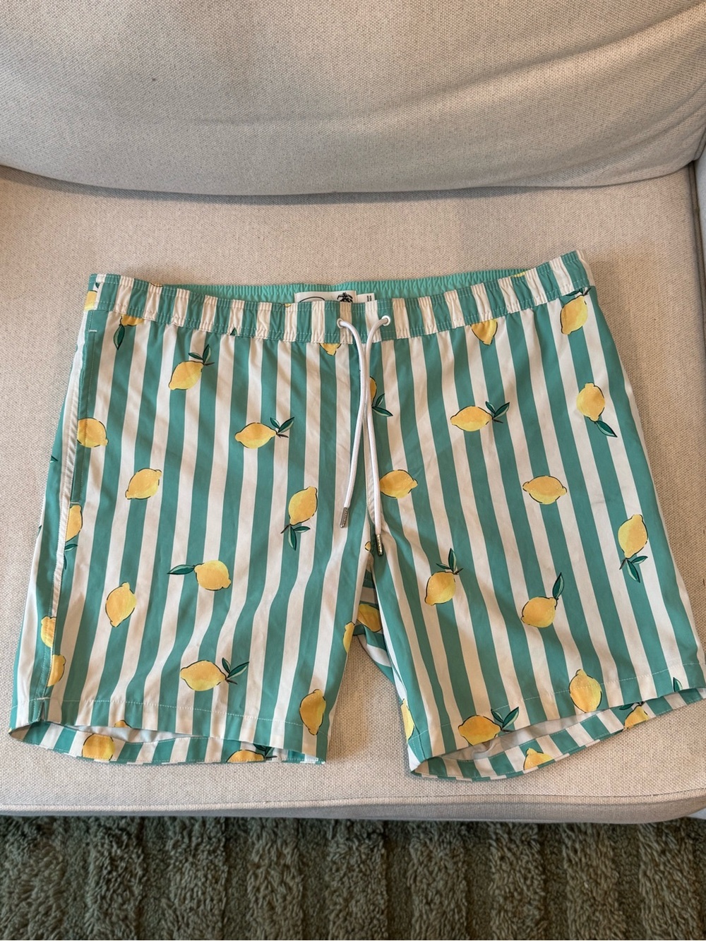 Bonobos Green and White Striped Lemon Swim Shorts